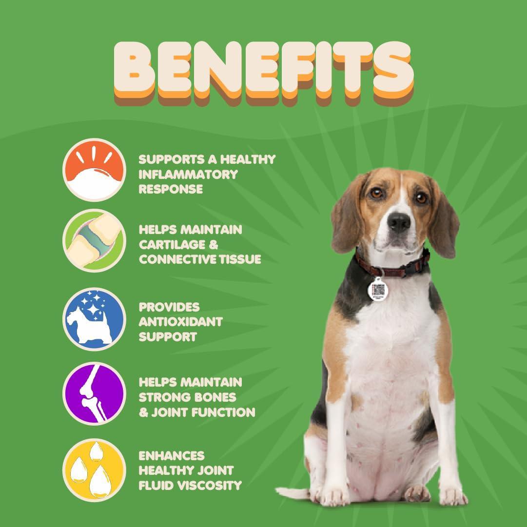 Dog Hip and Joint Supplement