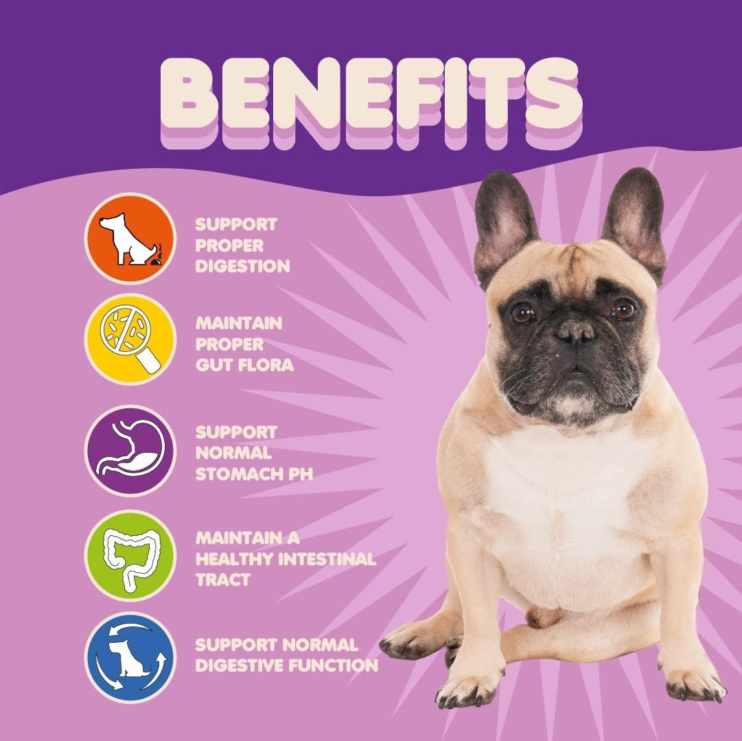 Probiotics for Dogs Extra Strength