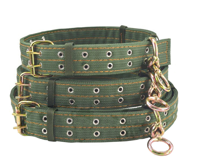 Dog Collar Canvas detail view 4