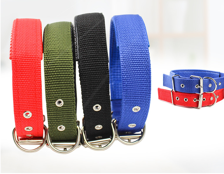 Dog Collar Canvas
