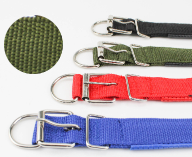 Dog Collar Canvas detail view 3